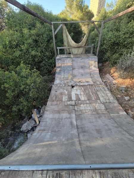 קובץ:2025-06-12T18 28 29.285633498464.jpg