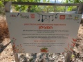 תמונה ממוזערת לגרסה מתאריך 04:05, 13 ביוני 2025