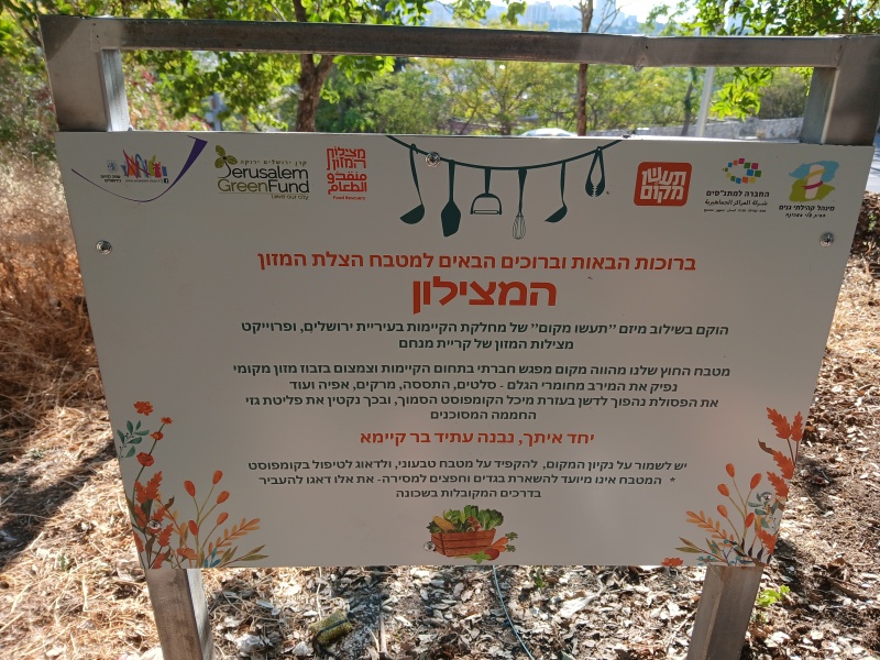 קובץ:2025-06-13T07 28 31.189037333843.jpg