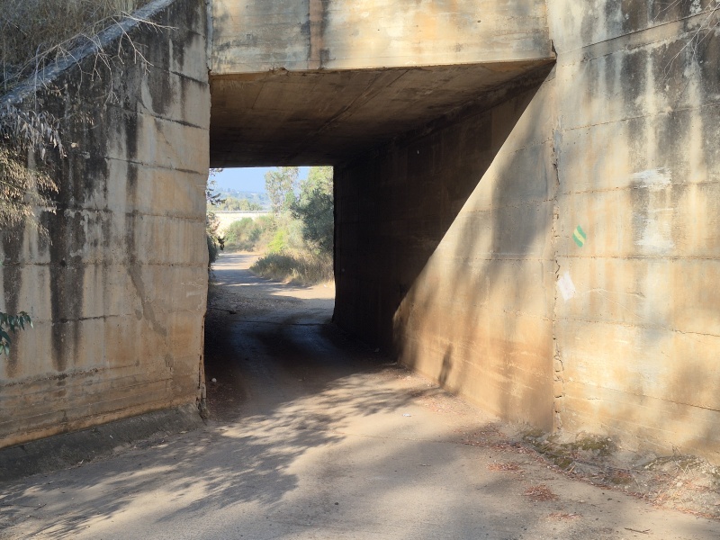 קובץ:2025-06-14T07 39 37.595049243275.jpg