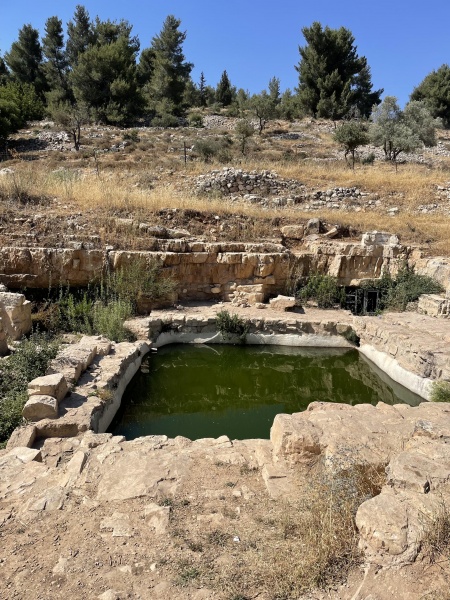 קובץ:2025-06-14T16 00 49.383953509613.jpg