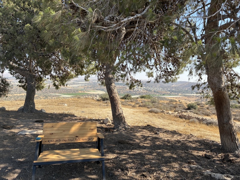 קובץ:2025-06-14T16 22 21.982596584560.jpg