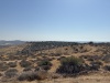 2025-06-14T16 24 06.89602270081.jpg