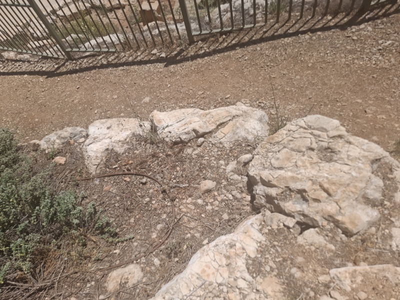 קובץ:2025-06-15T14 10 13.069060180186.jpg