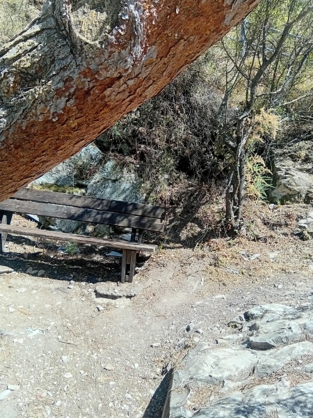 קובץ:2025-06-15T15 26 41.234215804115.jpg