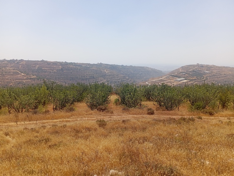קובץ:2025-06-16T15 03 53.272104653546.jpg