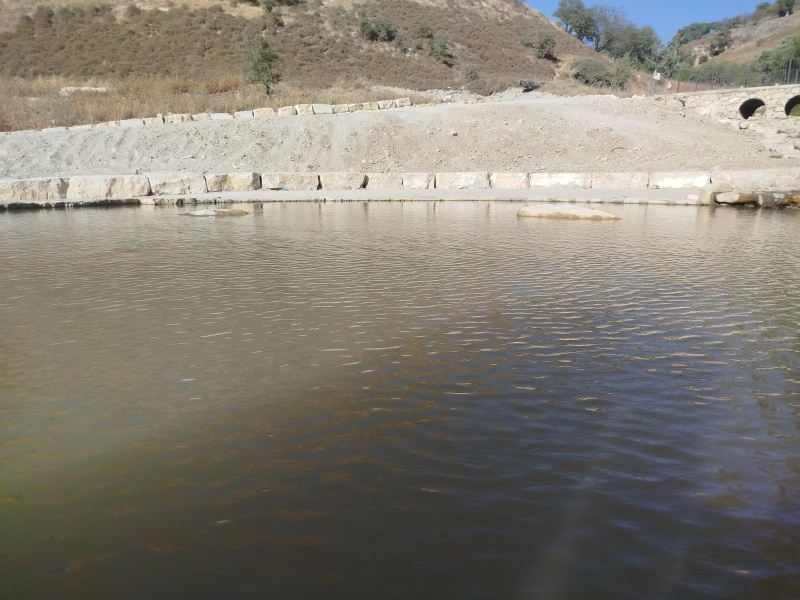 קובץ:2025-06-16T17 09 02.079401352479.jpg