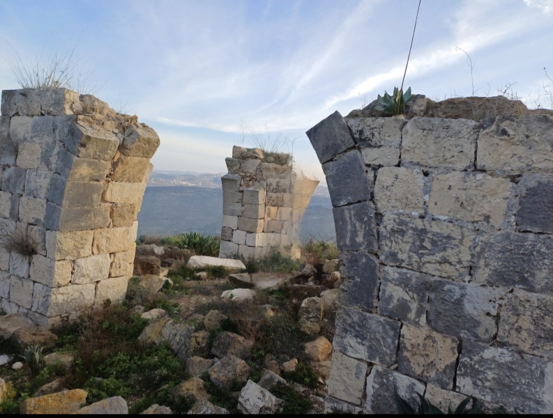 קובץ:2025-06-16T19 22 00.979057535753.jpg