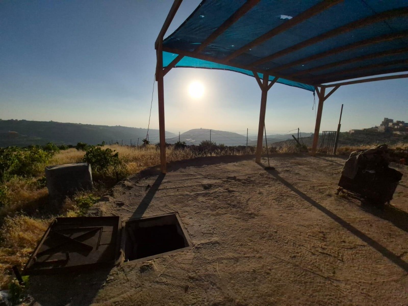 קובץ:2025-06-16T19 54 41.495158114942.jpg