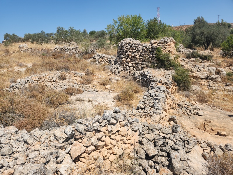 קובץ:2025-06-17T10 47 35.4790662977.jpg