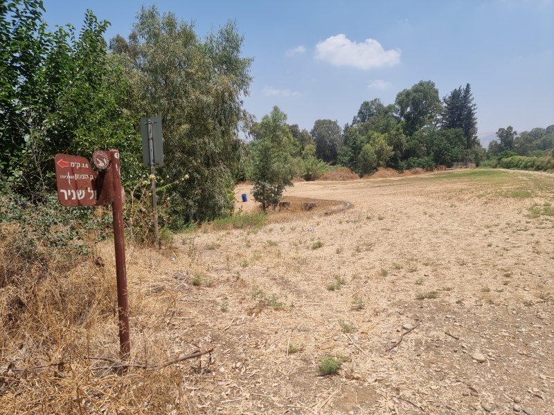 קובץ:2025-06-17T12 54 46.803277106581.jpg