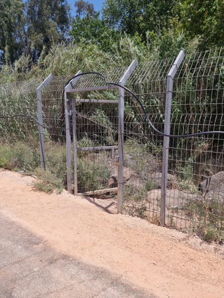 קובץ:2025-06-17T13 20 43.404894406163.jpg