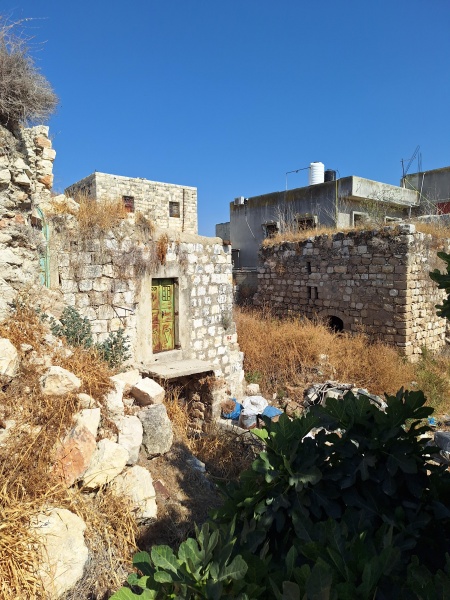 קובץ:2025-06-17T16 12 35.22332796330.jpg