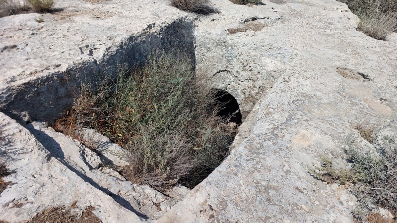 קובץ:2025-06-18T15 31 18.632088744718.jpg