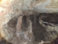 תמונה ממוזערת לגרסה מתאריך 12:50, 18 ביוני 2025