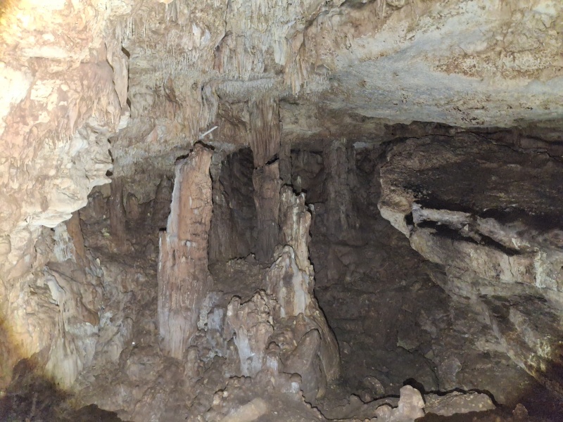 קובץ:2025-06-18T16 14 13.768847216373.jpg