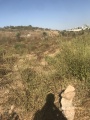 תמונה ממוזערת לגרסה מתאריך 13:35, 18 ביוני 2025