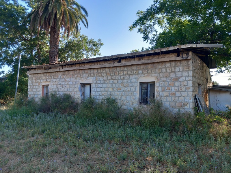 קובץ:2025-06-18T17 42 36.841278469674.jpg