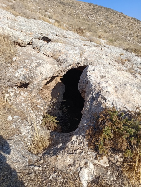 קובץ:2025-06-19T07 39 19.828557524130.jpg