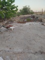 תמונה ממוזערת לגרסה מתאריך 16:12, 19 ביוני 2025