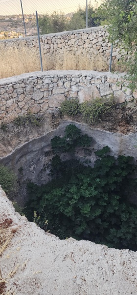 קובץ:2025-06-20T06 09 16.012970378212.jpg