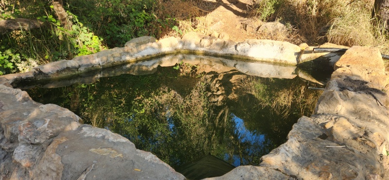 קובץ:2025-06-20T07 24 56.623559447380.jpg