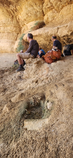 קובץ:2025-06-20T08 52 31.923442824639.jpg