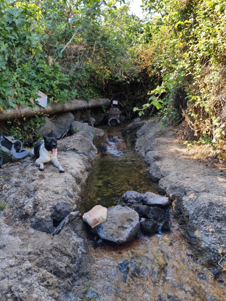 קובץ:2025-06-20T08 52 50.744714399443.jpg