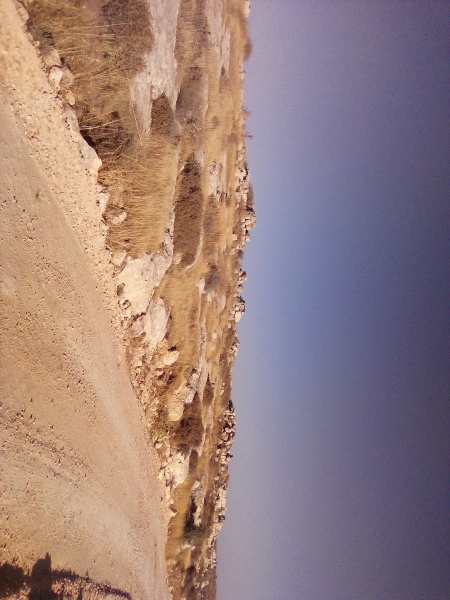קובץ:2025-06-20T18 12 20.197305975968.jpg