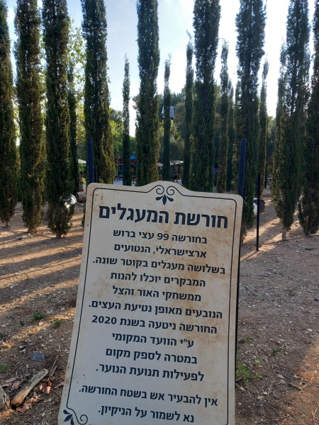 קובץ:2025-06-21T07 13 59.346645821860.jpg