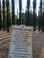 תמונה ממוזערת לגרסה מתאריך 06:40, 21 ביוני 2025
