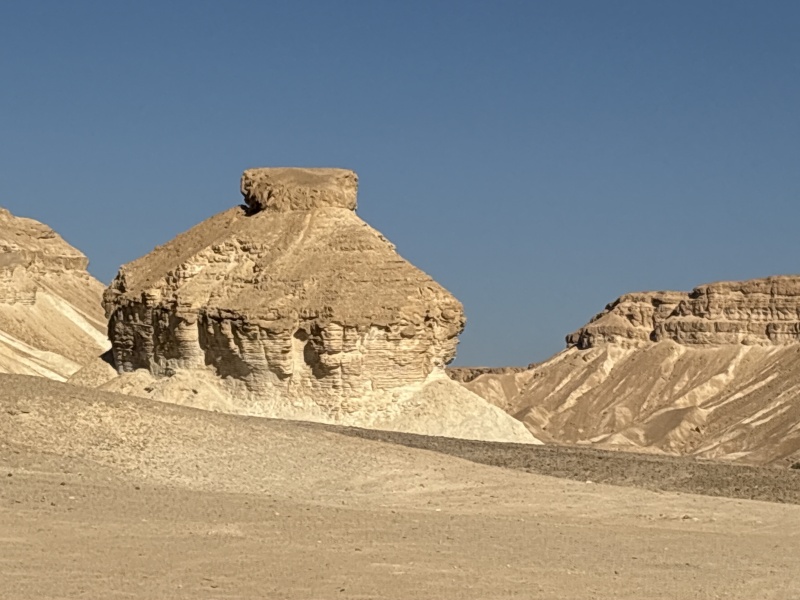 קובץ:2025-06-21T07 39 19.8845228890.jpg