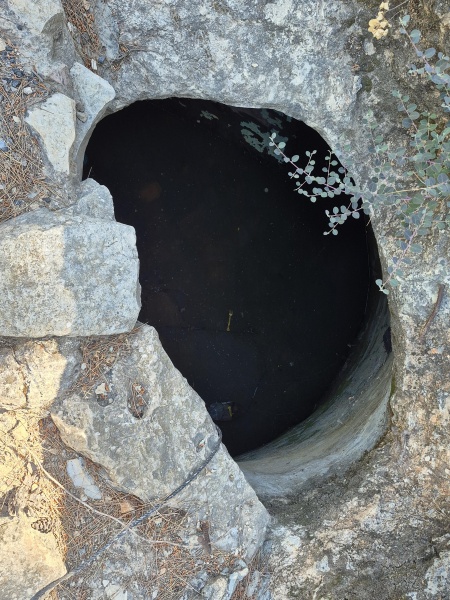 קובץ:2025-06-22T09 28 55.611469343975.jpg