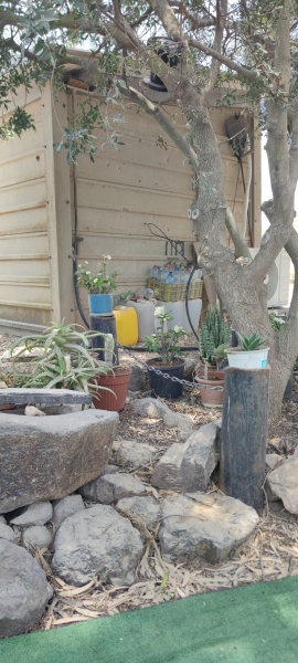 קובץ:2025-06-22T12 43 15.476371336424.jpg