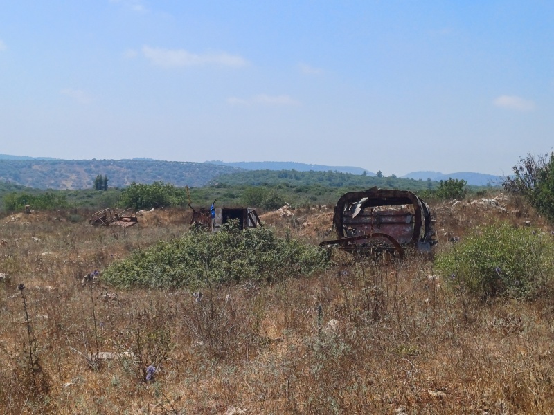 קובץ:2025-06-22T14 09 37.498373401969.jpg