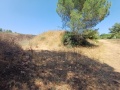 תמונה ממוזערת לגרסה מתאריך 11:15, 22 ביוני 2025