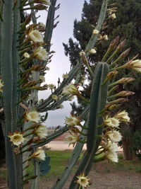 2025-06-23T05 53 35.533300551362.jpg