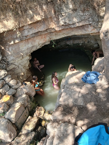 קובץ:2025-06-23T13 40 16.309899951345.jpg