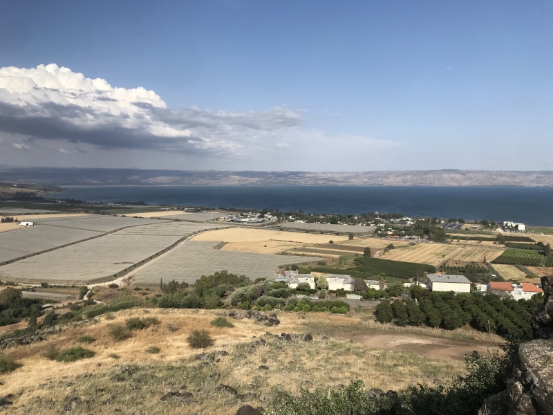 קובץ:2025-06-23T17 17 11.576341984837.jpg