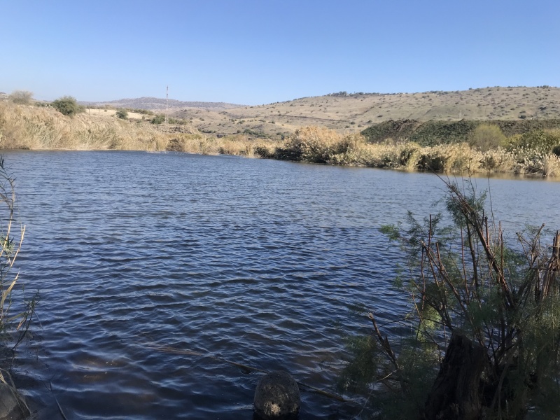 קובץ:2025-06-23T17 23 35.921028379904.jpg