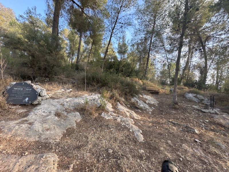 קובץ:2025-06-23T18 44 30.087579118821.jpg