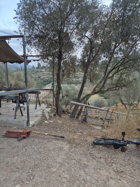 קובץ:2025-06-23T19 22 18.965561383841.jpg