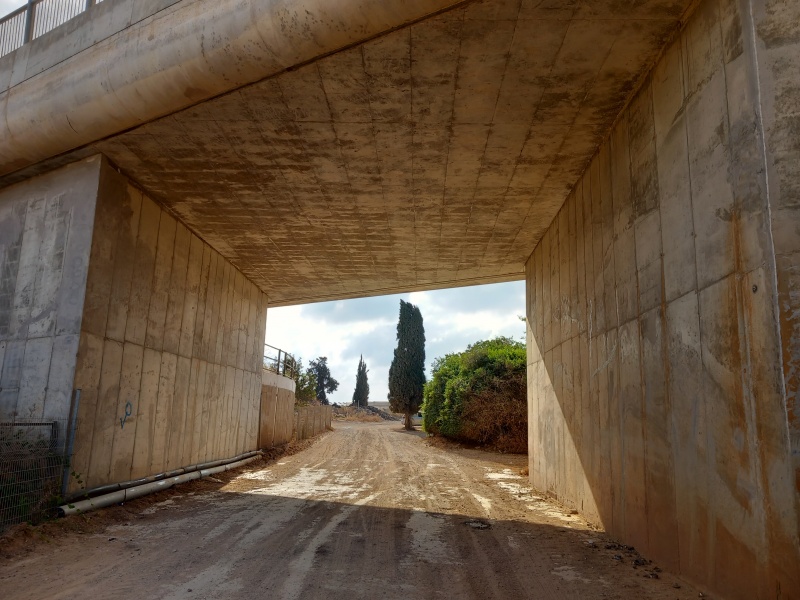 קובץ:2025-06-24T08 13 41.363012436840.jpg