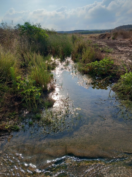 קובץ:2025-06-24T09 19 49.052976155542.jpg