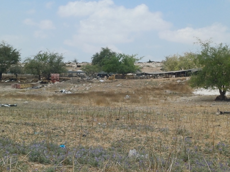 קובץ:2025-06-24T11 41 58.093933889401.jpg