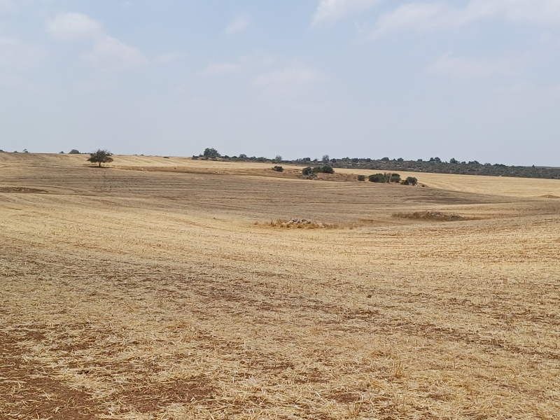 קובץ:2025-06-24T12 31 36.555612404332.jpg