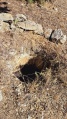 תמונה ממוזערת לגרסה מתאריך 13:35, 24 ביוני 2025