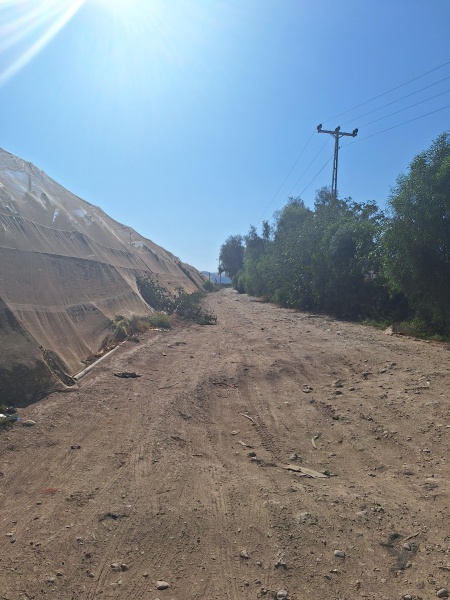 קובץ:2025-06-24T16 39 17.880180479034.jpg