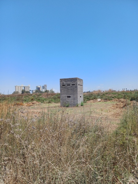 קובץ:2025-06-25T12 14 28.273440896262.jpg