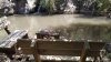 2025-06-25T17 59 40.338397478929.jpg